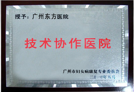 广州东方医院广州市妇女病康复专业委员会技术协作医院